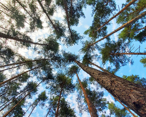 how sustainable is your business?