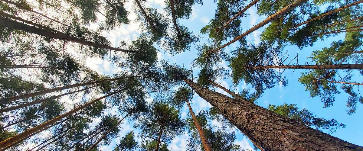how sustainable is your business?